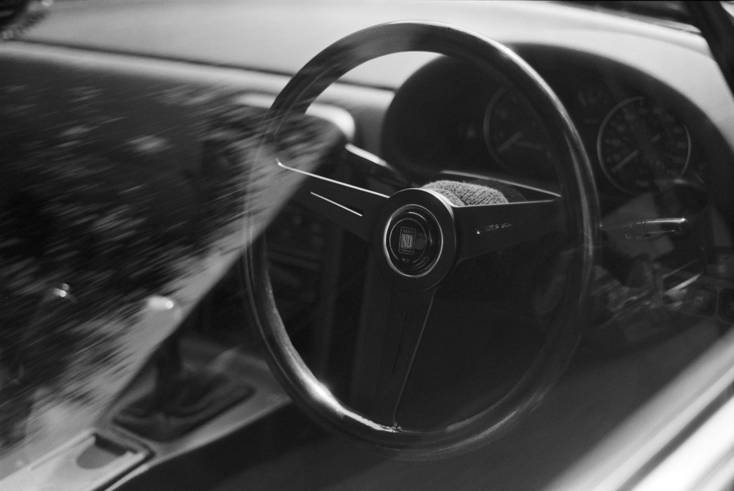 a cat walks around the steering wheel of a car