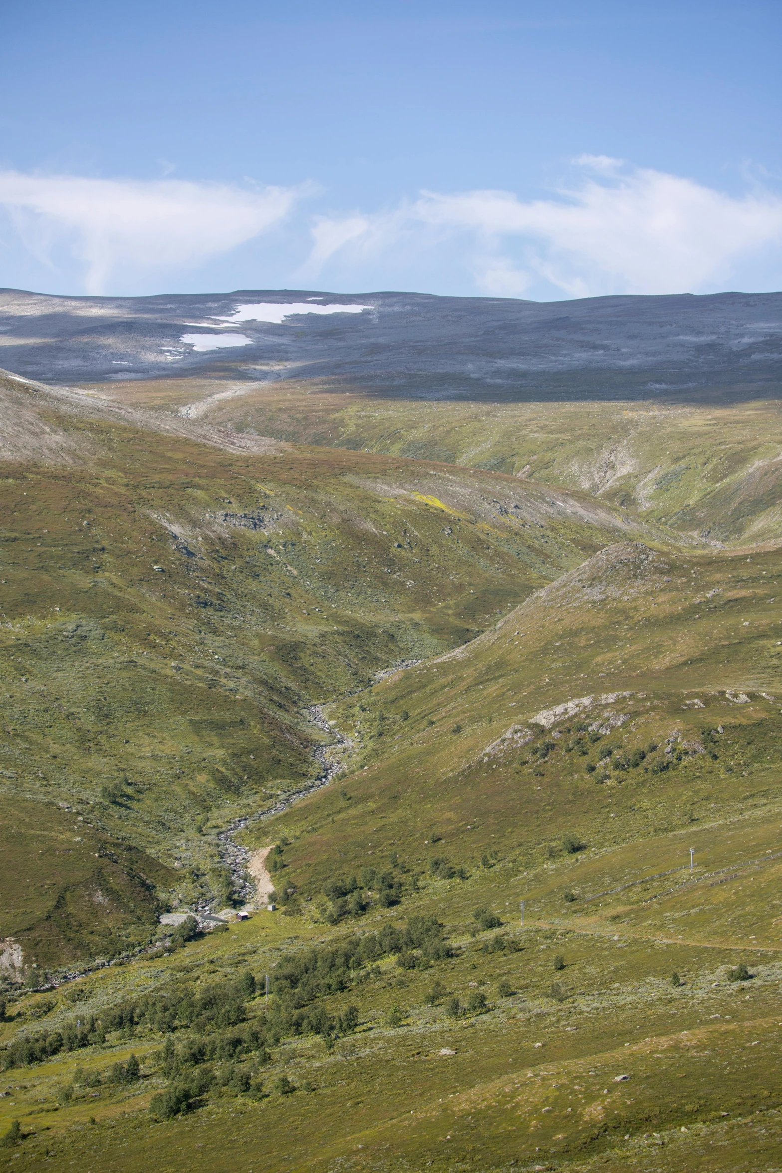 a hill with a large area of grass, and one lone sheep