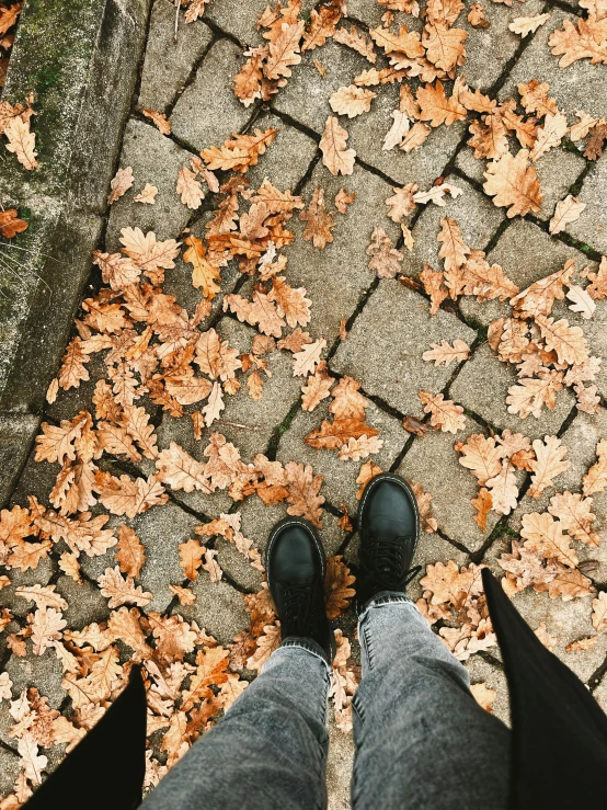 a man standing on a sidewalk with leaves all over the ground