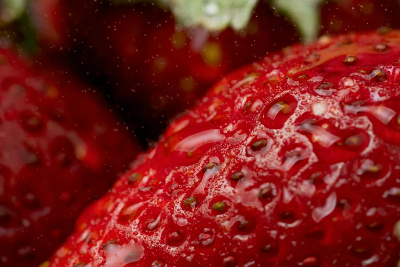 close up of a group of fruit with drops of water on it