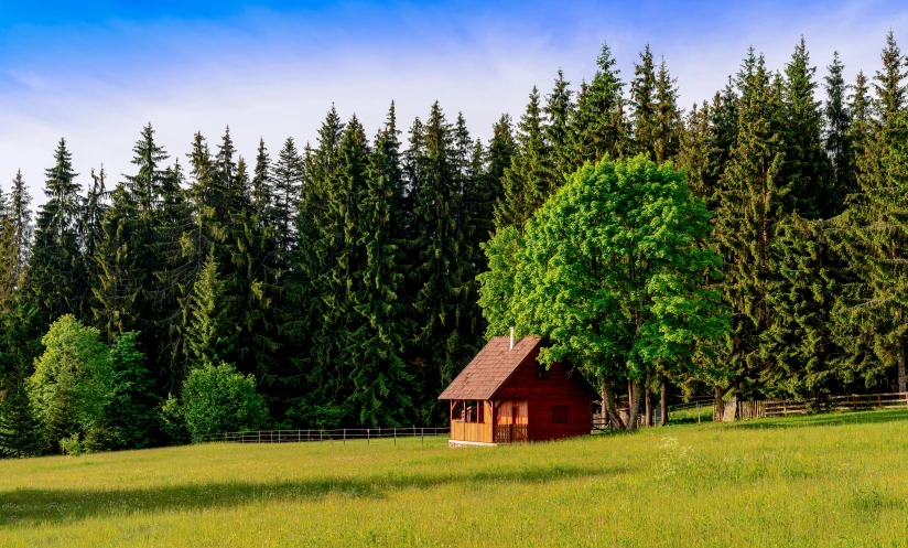 small barn with trees in back