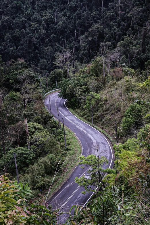 a road with some very steep sides in the forest