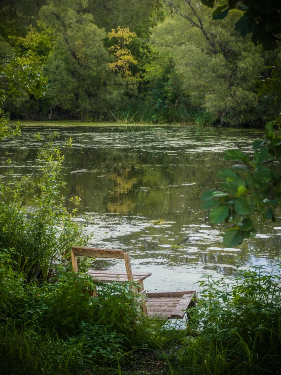 a wooden bench sitting on top of a lush green field next to a lake