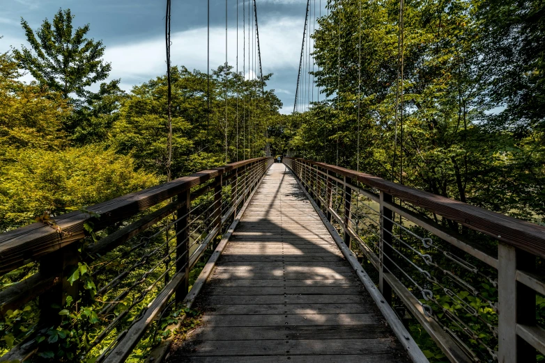 a bridge with an overhang above a forest