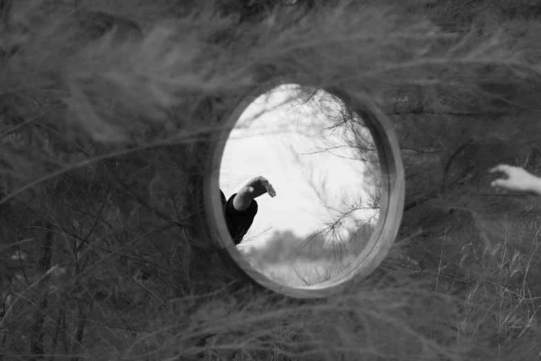 a round mirror with a bird perched on top of it