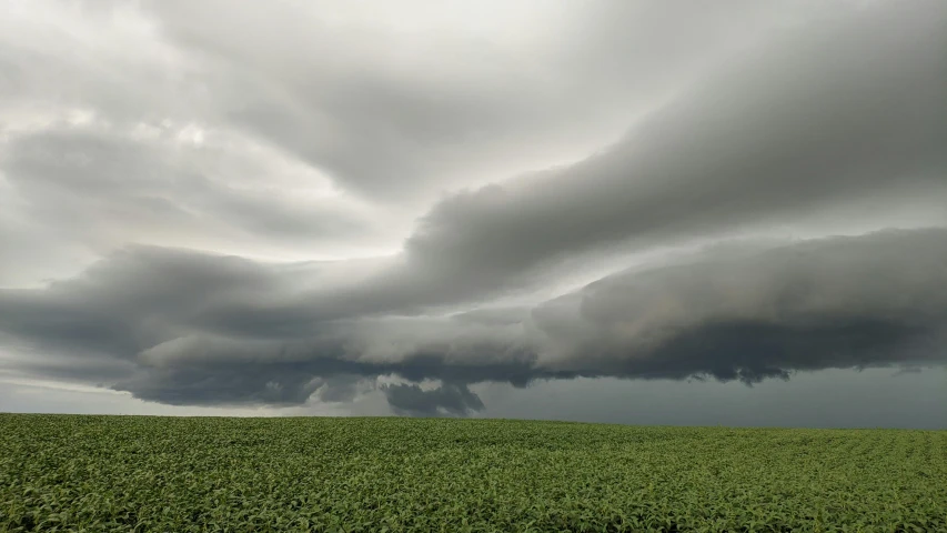 a dark storm coming across a green field