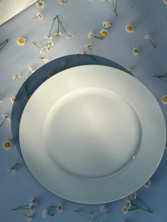 an empty white plate sits on a blue background with daisies scattered about it