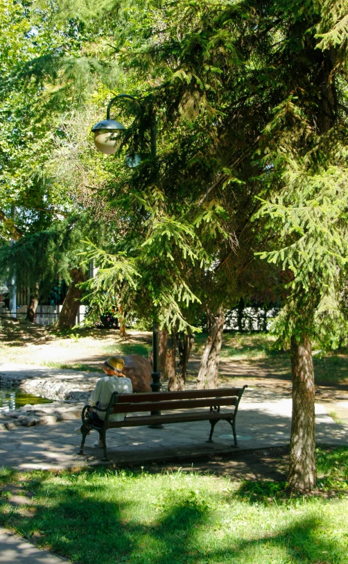 an elderly woman sits on a bench under the shade of a large tree