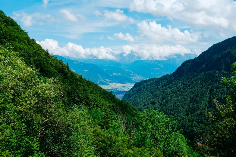 the mountains are lined with lush green vegetation