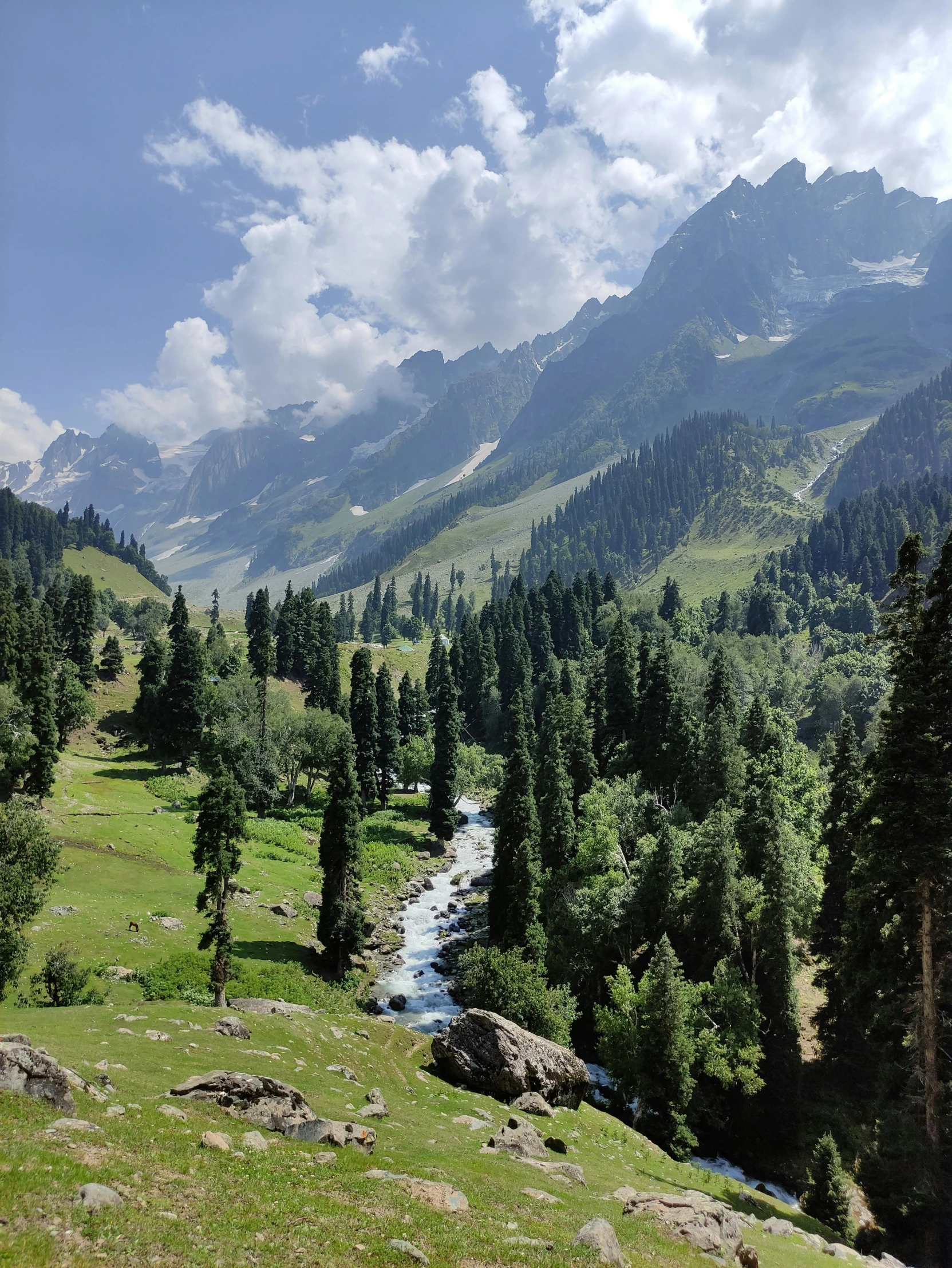 a grassy field that is bordered with trees and mountains