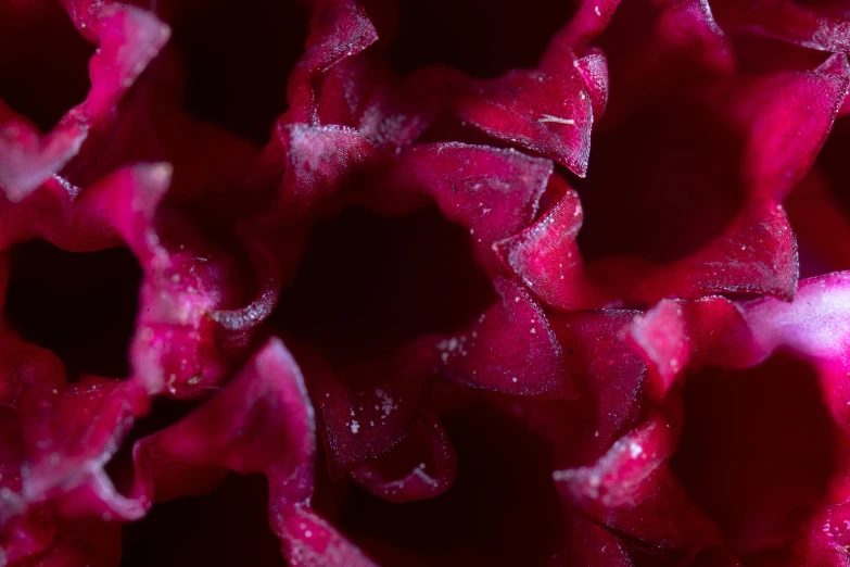 some red stuff that is floating in water