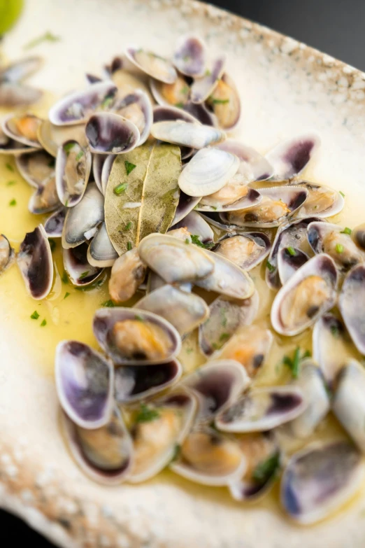 there is a plate with steamed clams in yellow wine