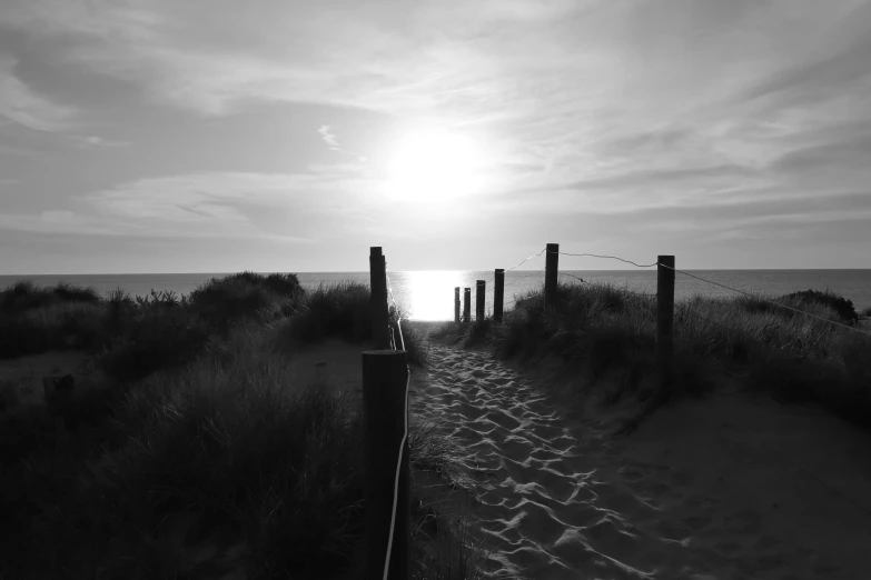 a walk way to the beach is covered in sand