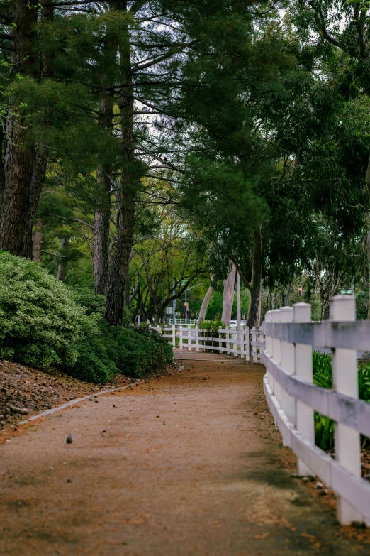 a white fence next to a trail in a forest