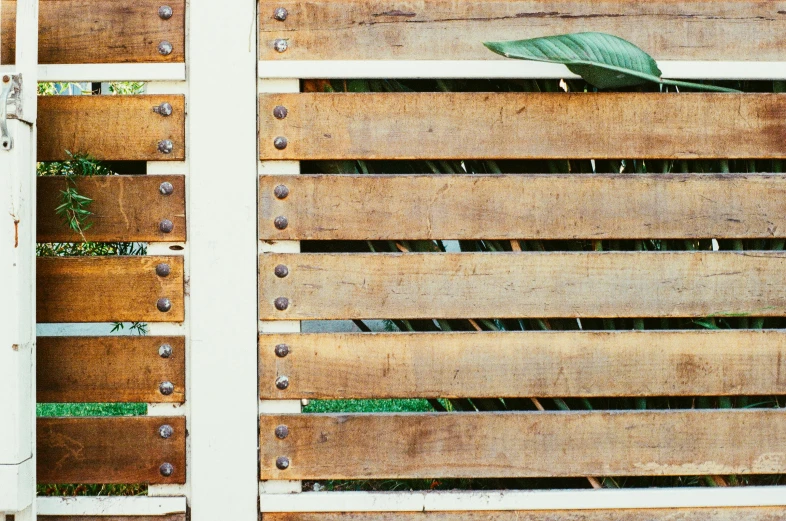 there is a green plant growing on top of the wooden box