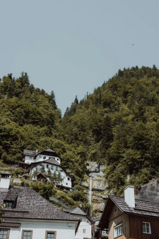 some buildings are next to the trees on a hill