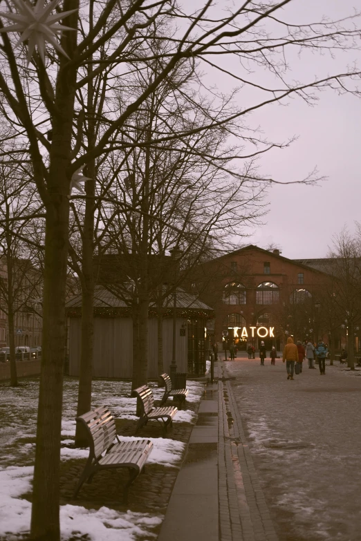 people walk along an ice covered path with benches