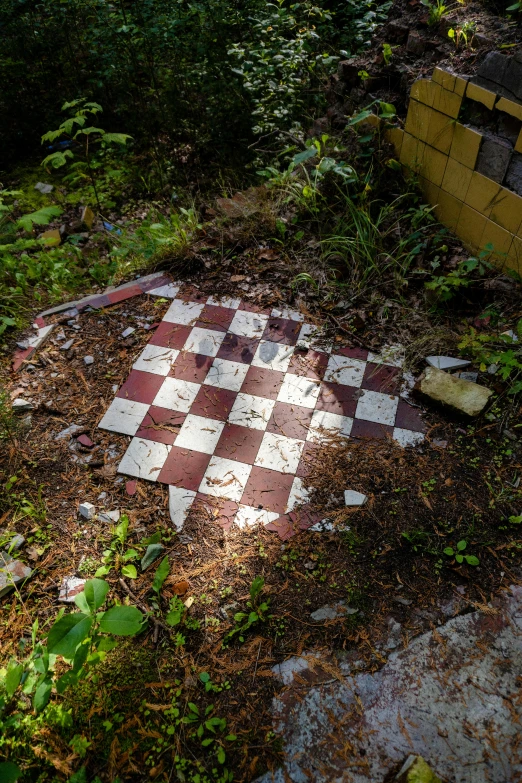 an old chess board lays abandoned on the ground
