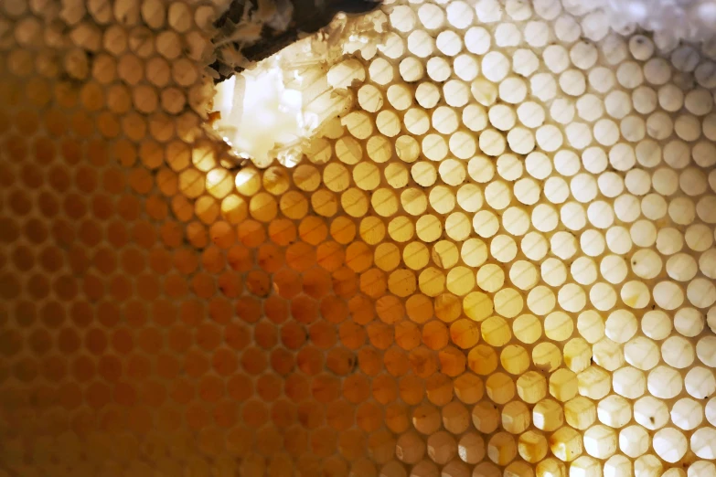 an abstract texture that appears to be being seen through a glass