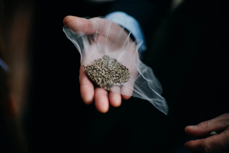 a person holding seeds inside of a organine bag