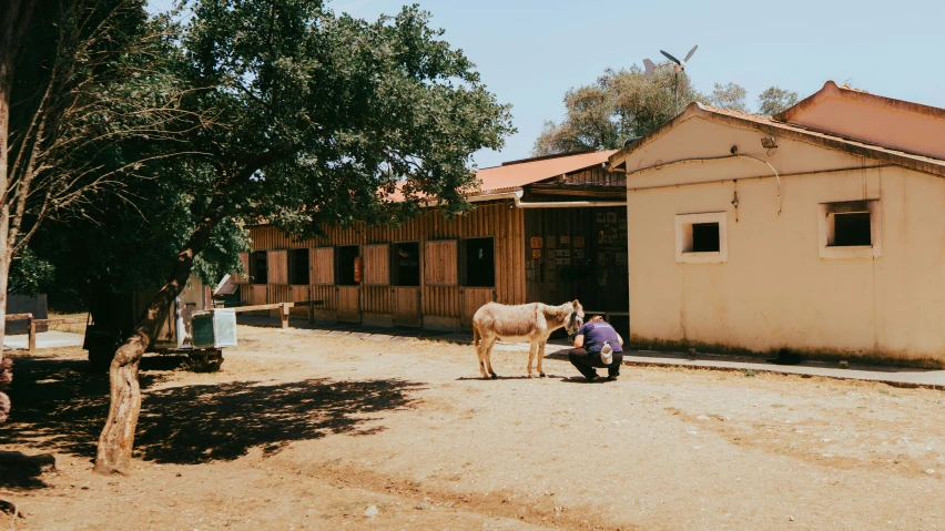 a man is next to a horse on the side of the street