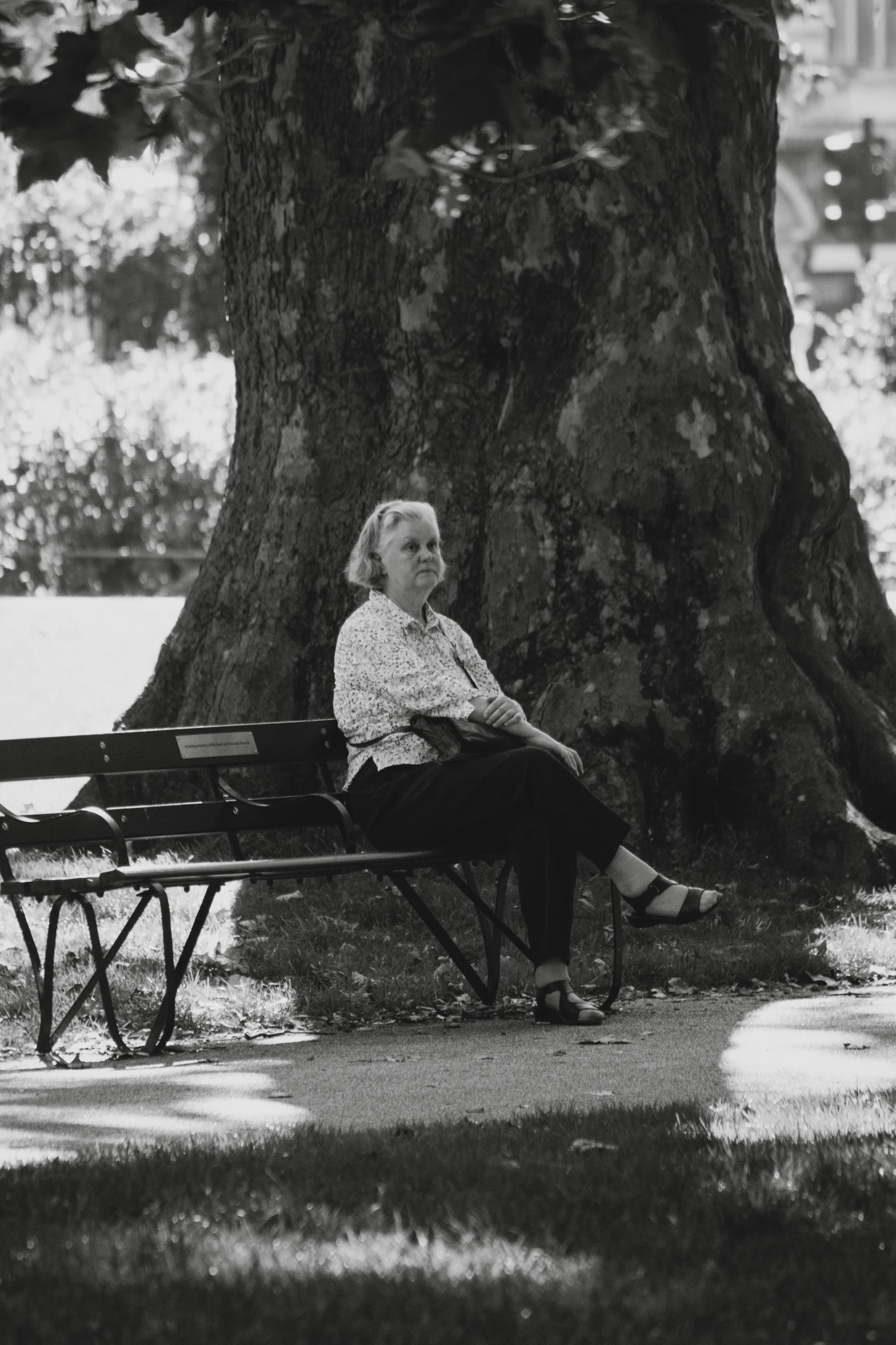 an elderly woman sitting on a park bench under a tree