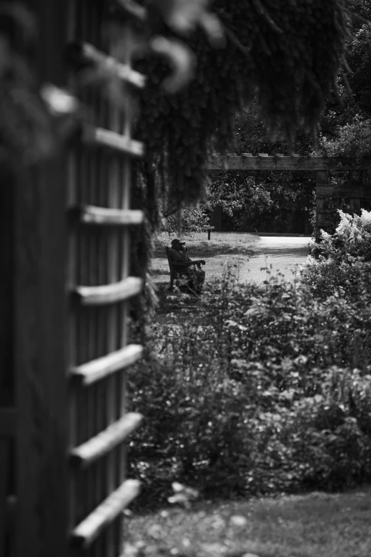 a fence and trees with grass in the background