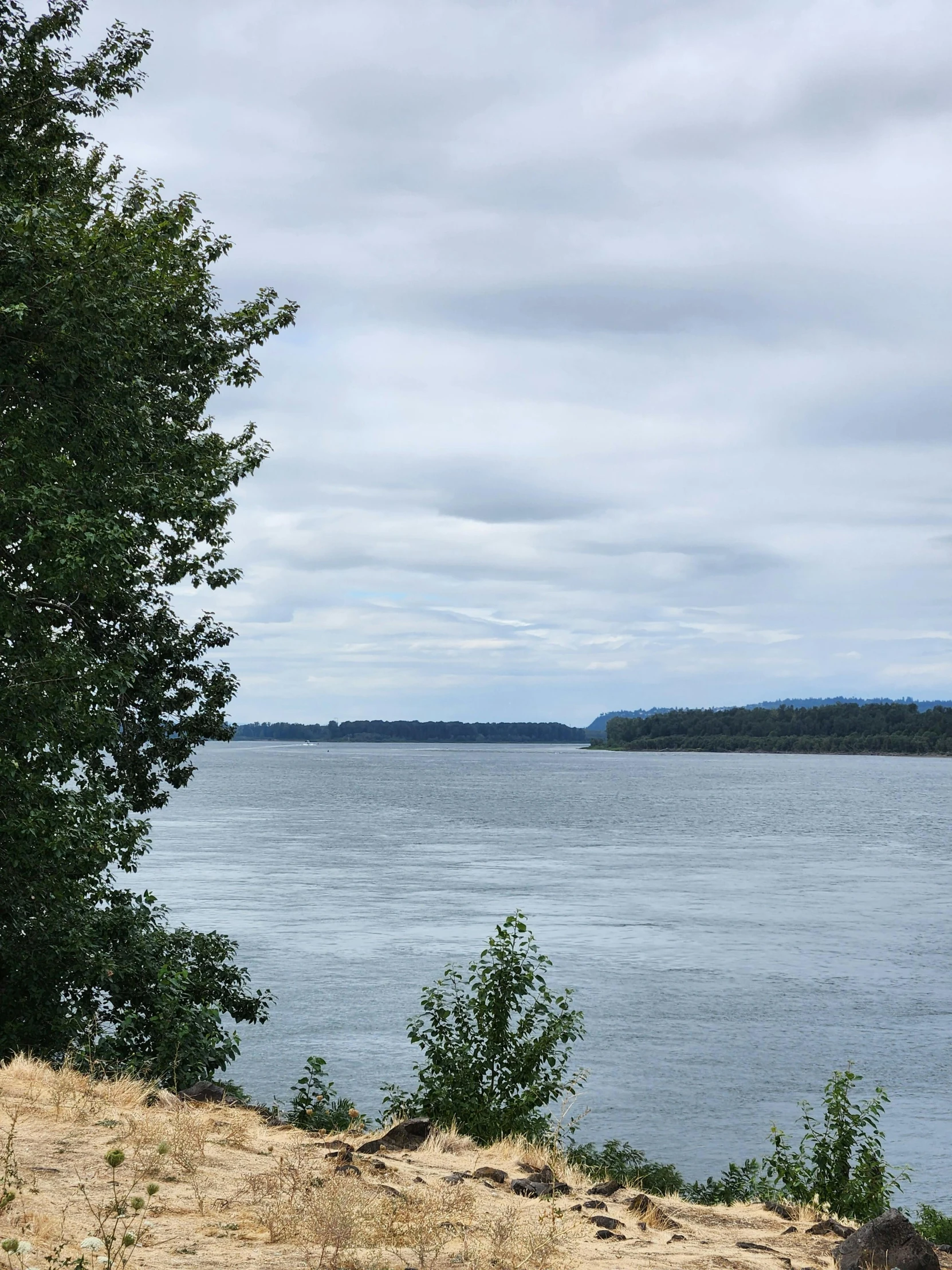 an overcast and hazy day overlooks water and trees