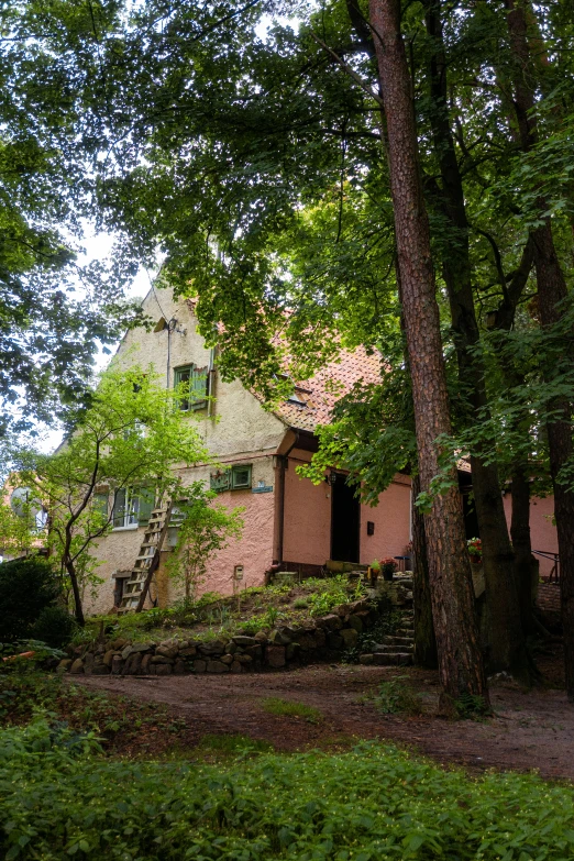a house in the woods with trees on both sides