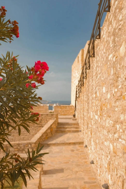 there are flowers on the stone steps next to the wall