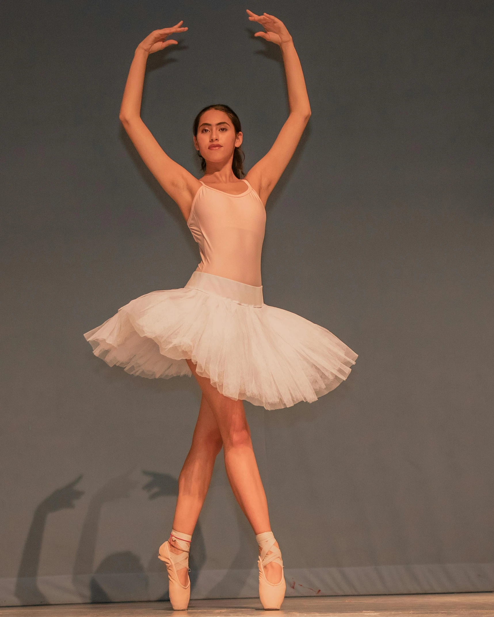 an elegant ballet girl in a tutu is posing