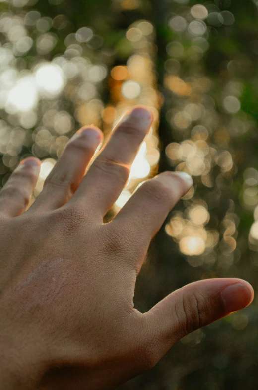 person holding out their hand in front of them