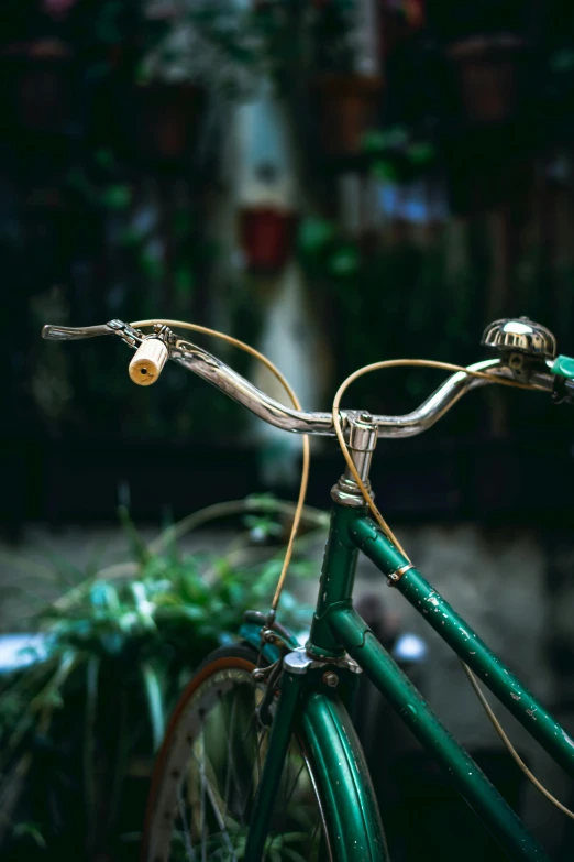 a green bike parked next to plants on a sidewalk