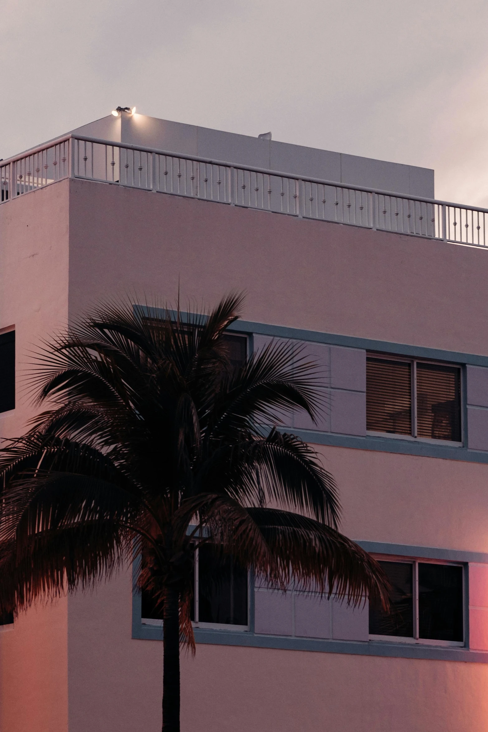 a pink building with a small palm tree and sky in the background