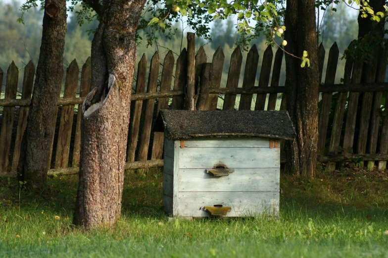 a bee box next to a tree in the grass