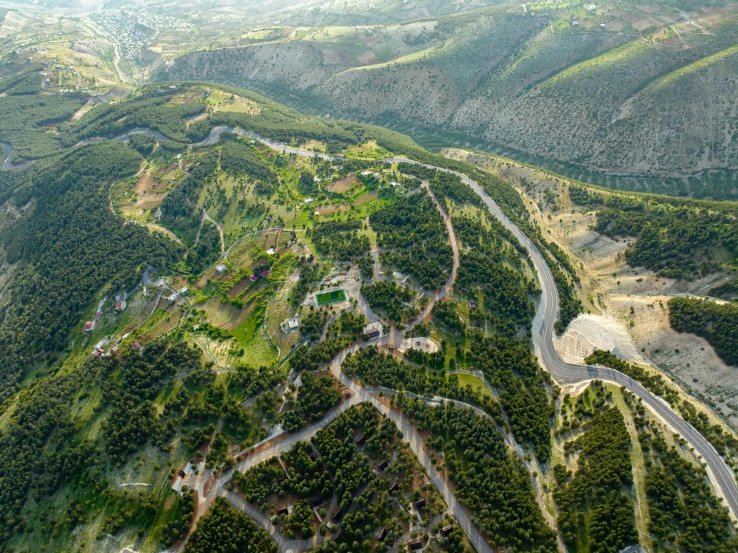 an aerial view of many trees in the mountains