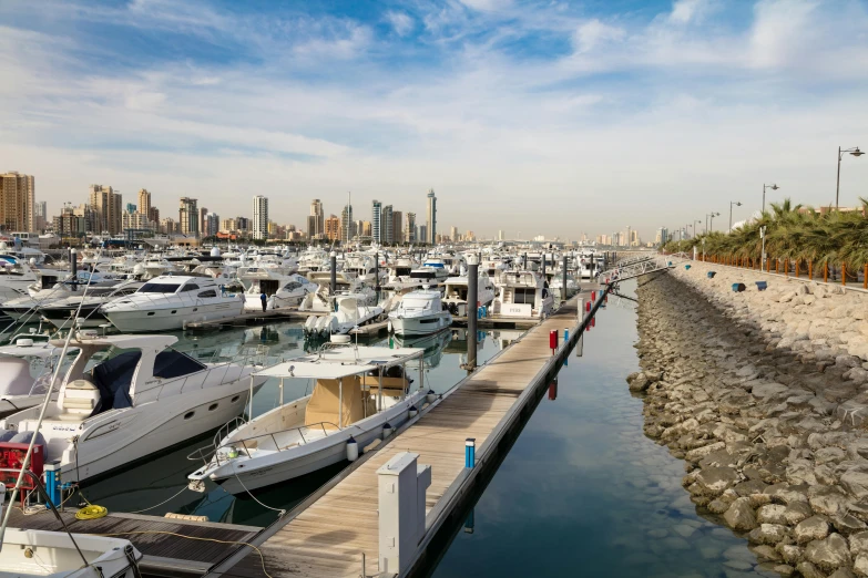 boats in a marina area of the city