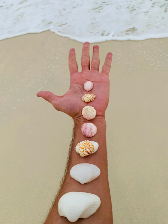a hand with seashells on the sand at the beach