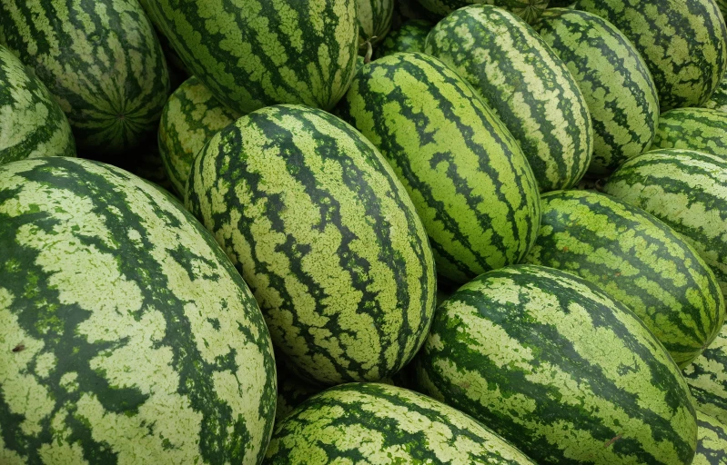 a pile of ripe watermelon sitting next to each other
