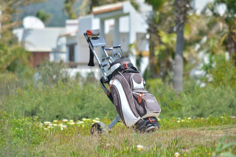 golf bag resting on the ground on a sunny day