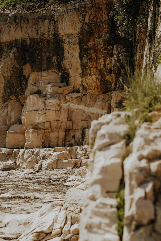 a brown bear standing in the middle of a rock wall