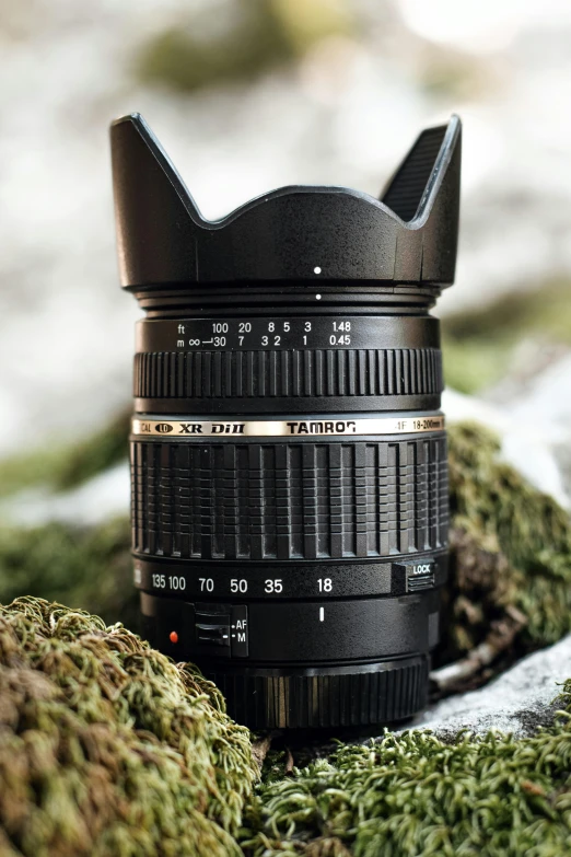 a close up of a camera lens laying on a mossy surface