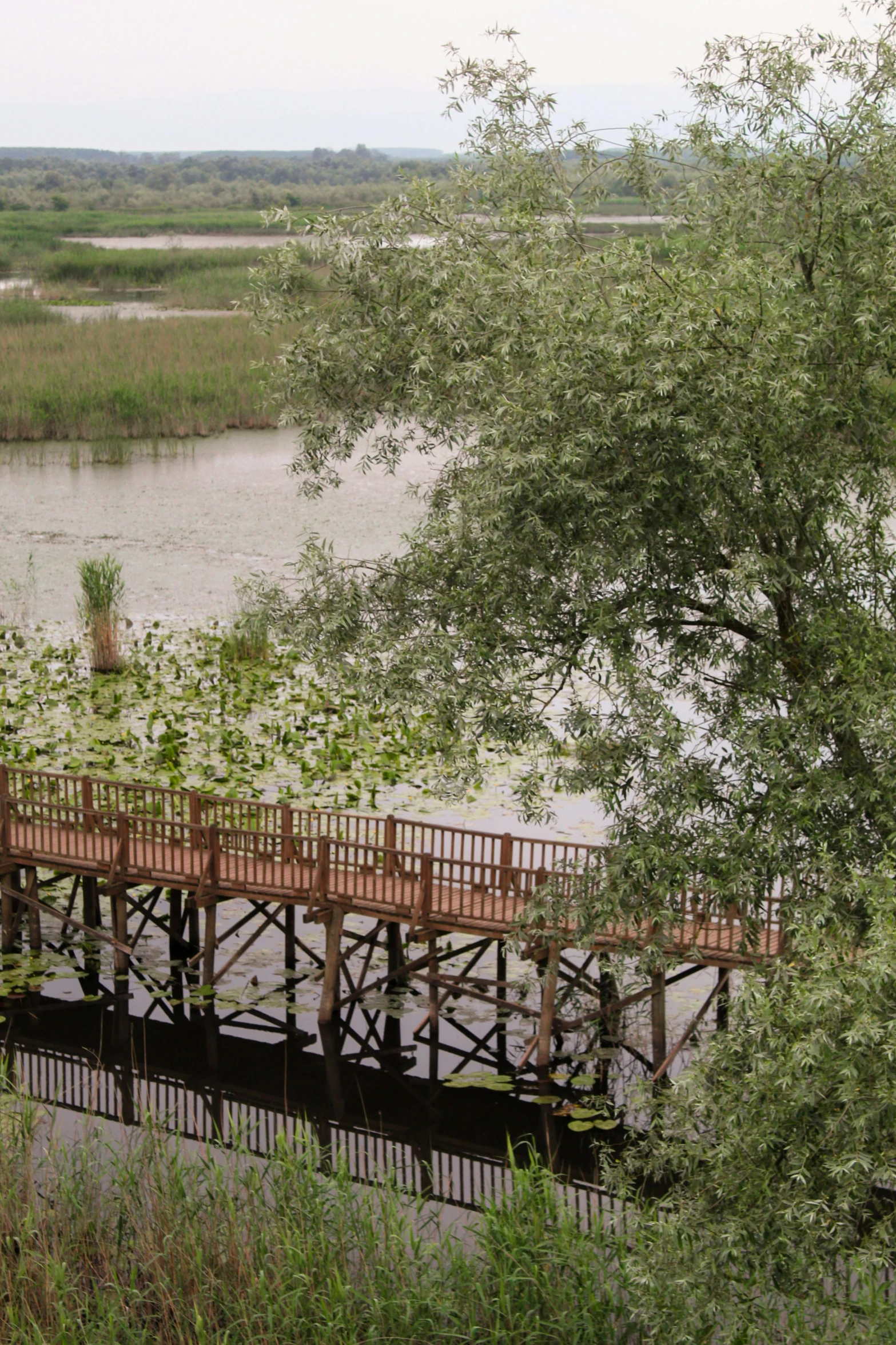 a bridge crosses over some water to nowhere