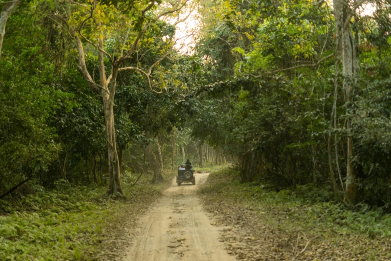 a vehicle on a dirt road surrounded by trees