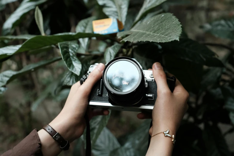 hands holding a small camera in front of a leaf