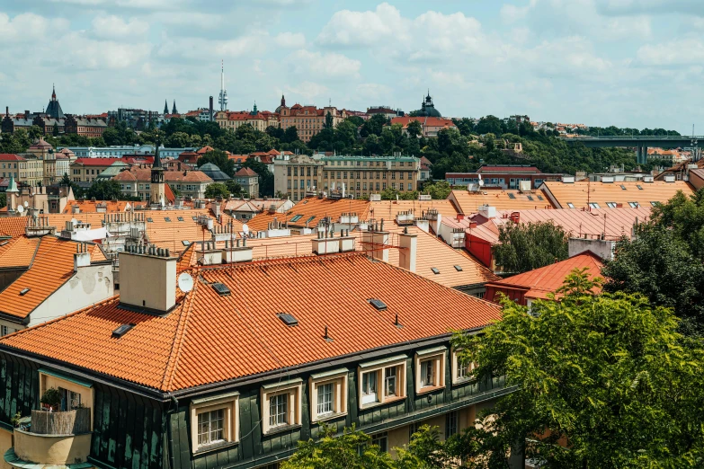 roofs in a city surrounded by trees and buildings