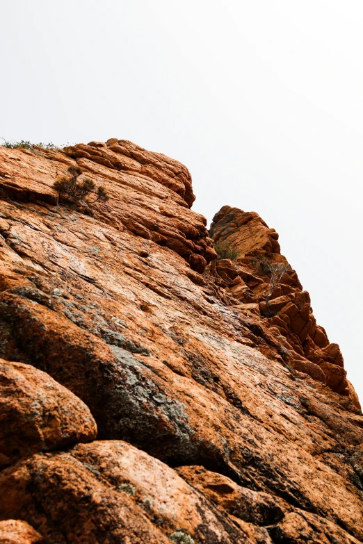 a bird is sitting on top of a rock