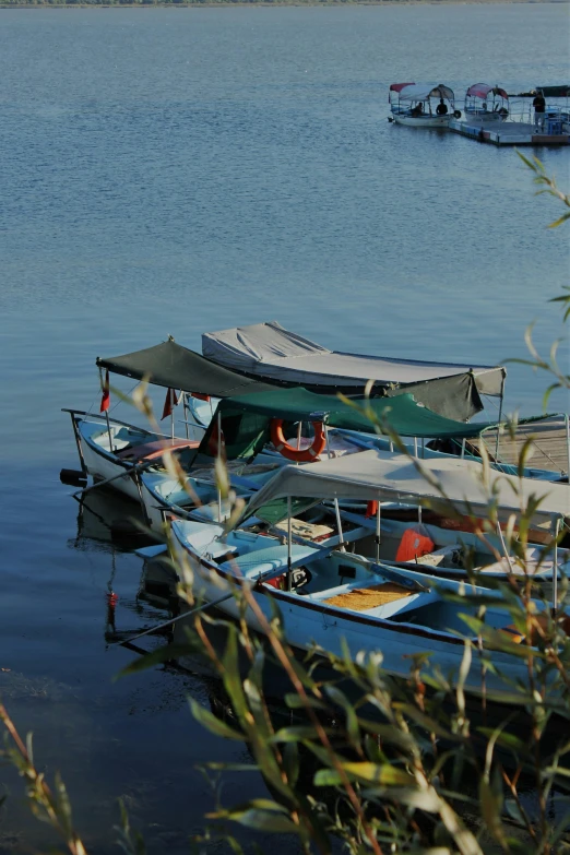 some small boats are docked in the water