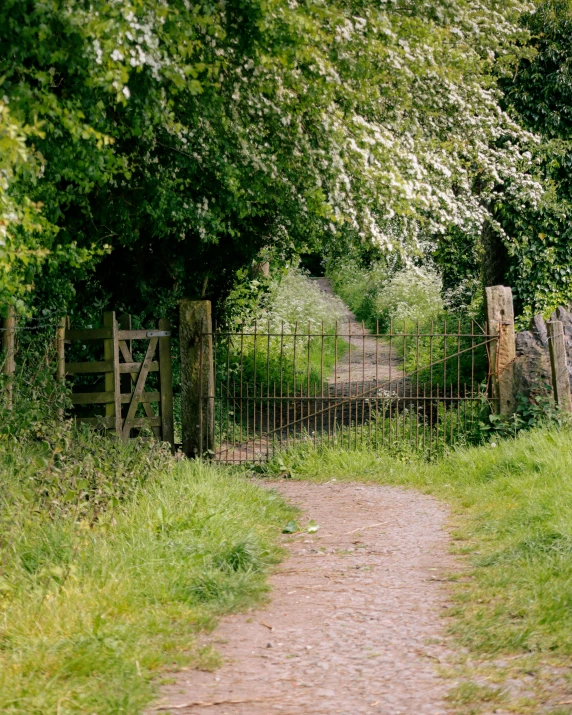 an open gate leading into a grassy field with tall trees