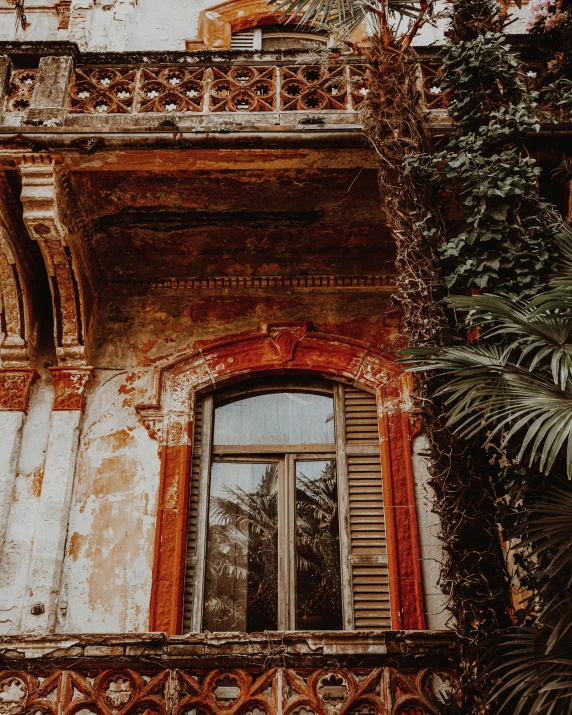 an abandoned building, with some plants growing out of it